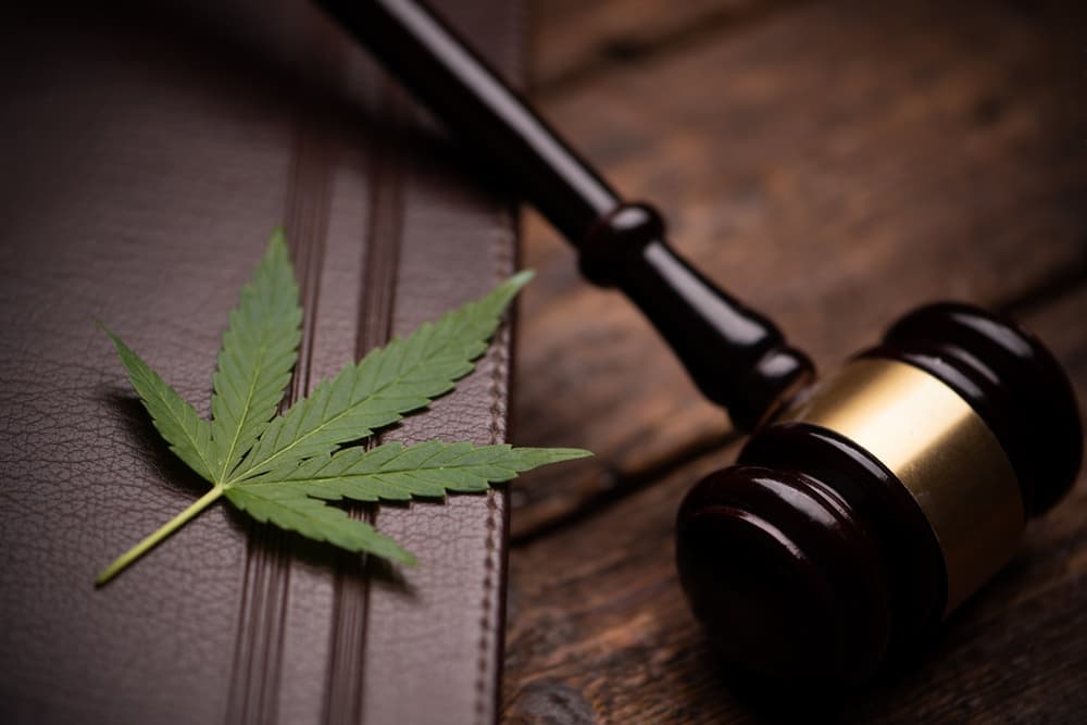 Why-should-I-hire-an-attorney-for-my-drug-offense case